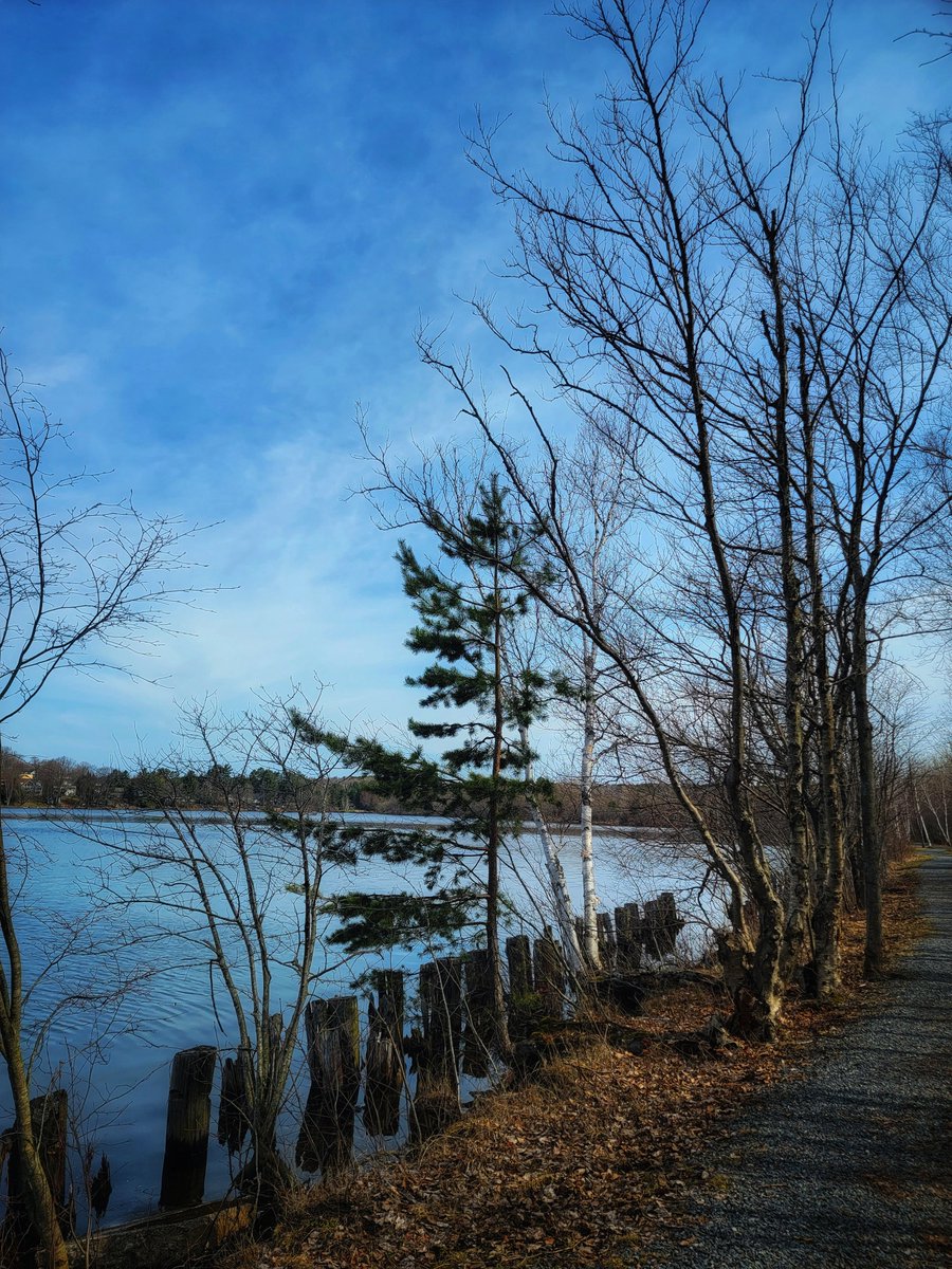 Darrell, not Daryl tweet media