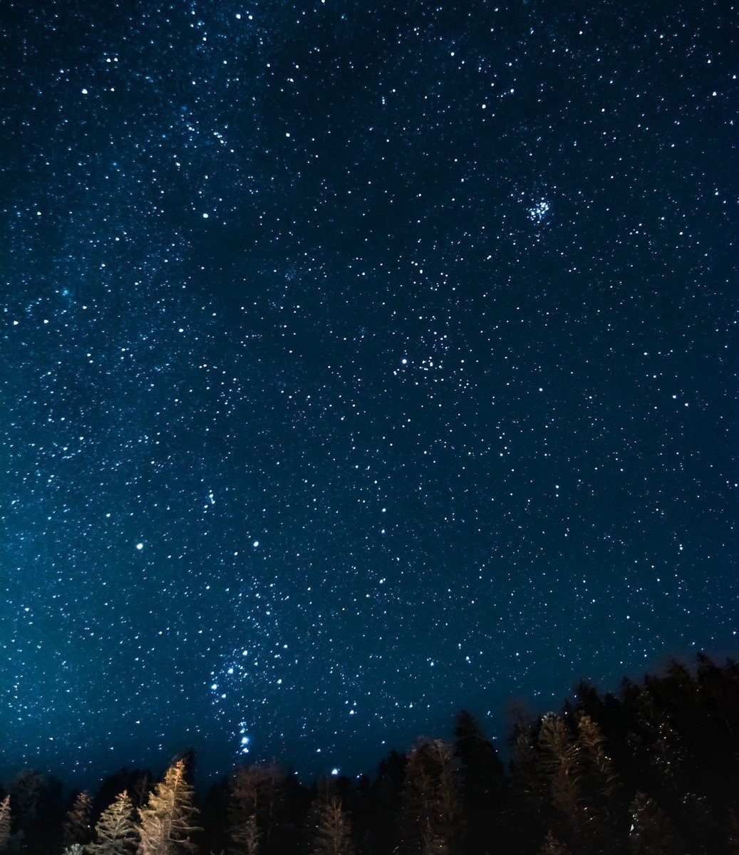 Aesthetics tweet media