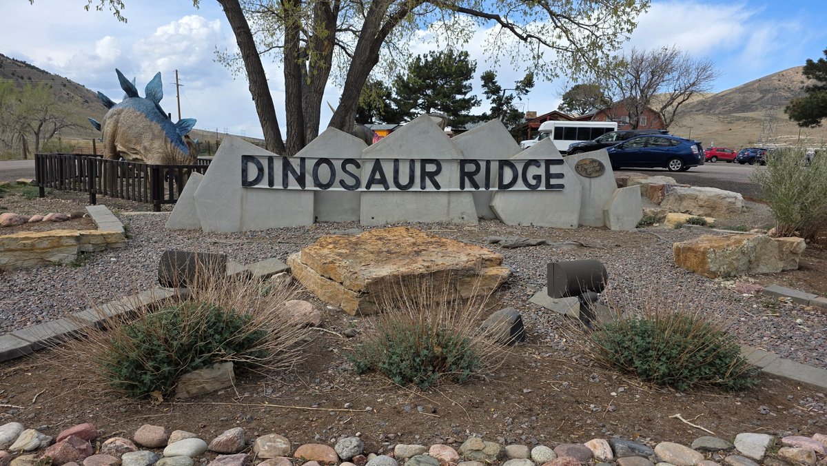 The Amber Mine tweet media