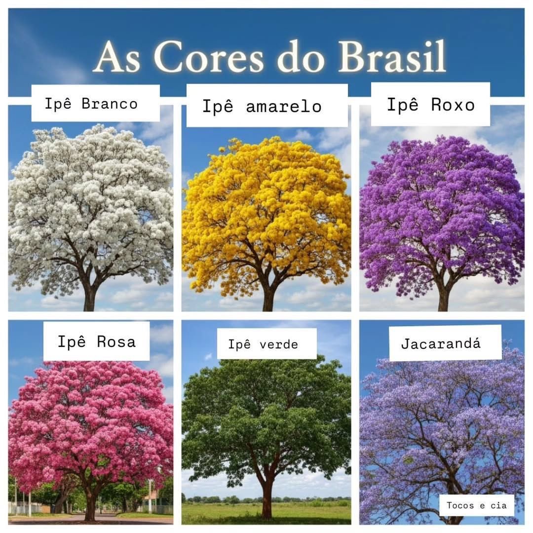 Helena ☭ 🐇🇧🇷🇷🇺🇰🇵🎪 tweet media