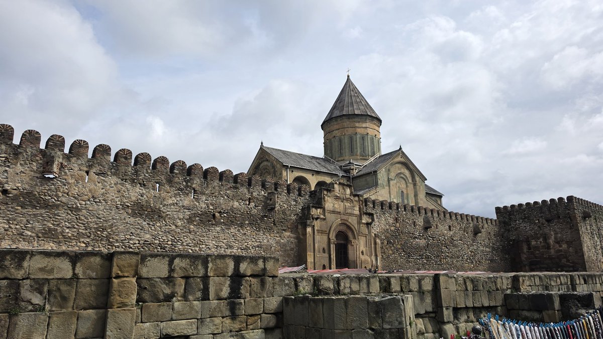 마이🐢 / 회지 재고 통판 중 tweet media