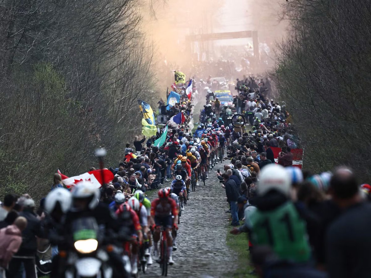 joan tubau tweet media