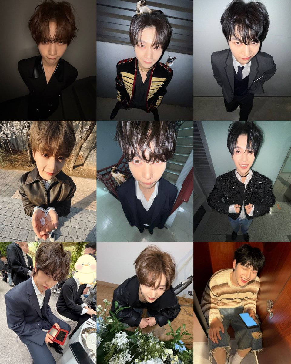 seok matthew archive tweet media