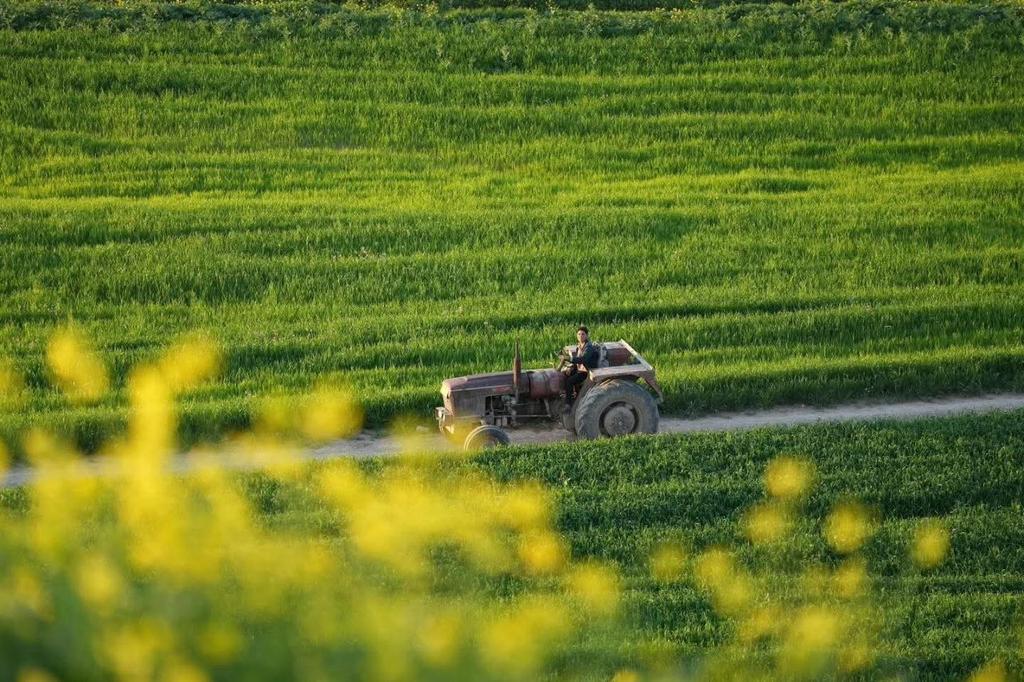 Aseel 🇮🇶 tweet media