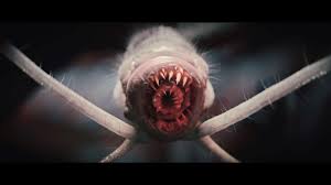 Кубанский 47 карантин tweet media