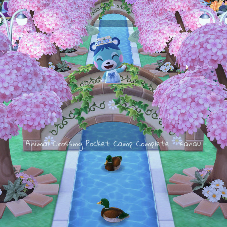 かなう@ポケ森コンプ専用垢 tweet media