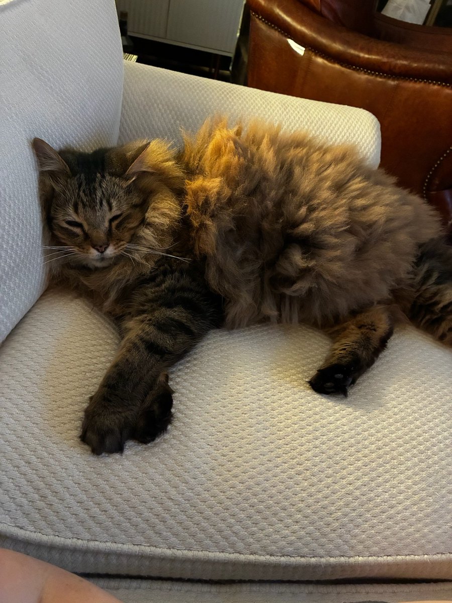 Texas Sky tweet media