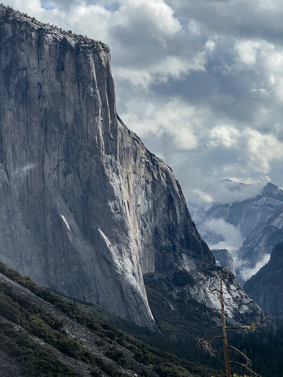 Joaquín tweet media