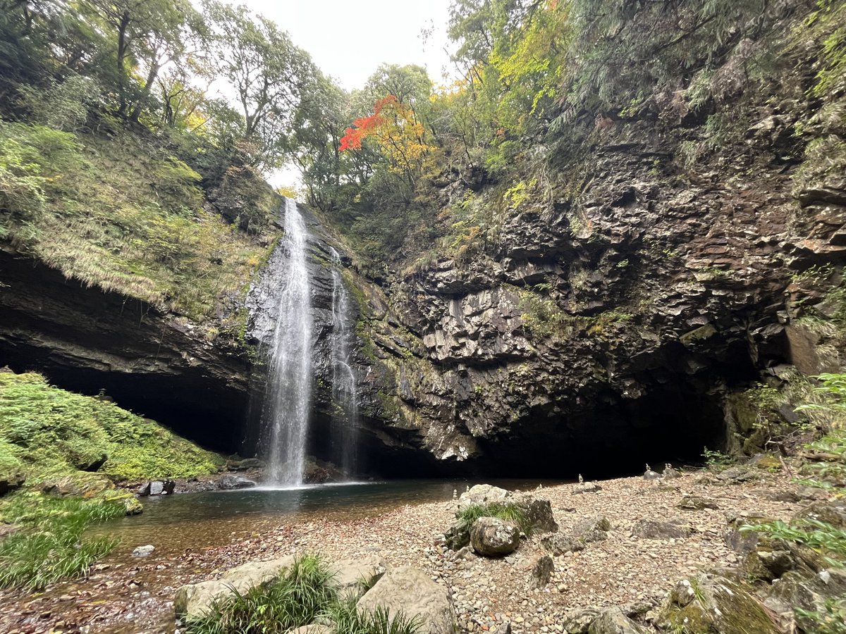 トワタ tweet media