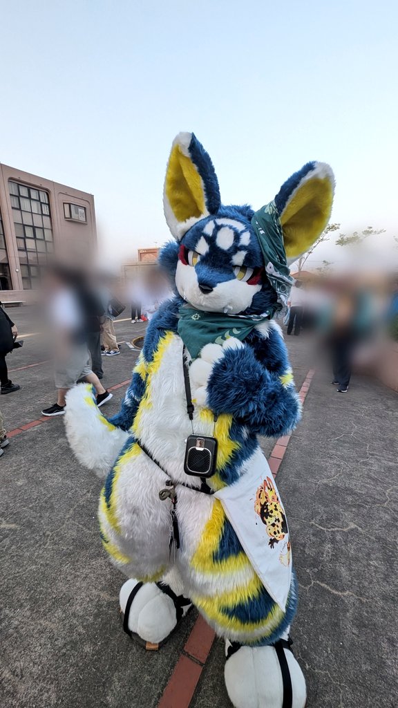 ハスキー tweet media