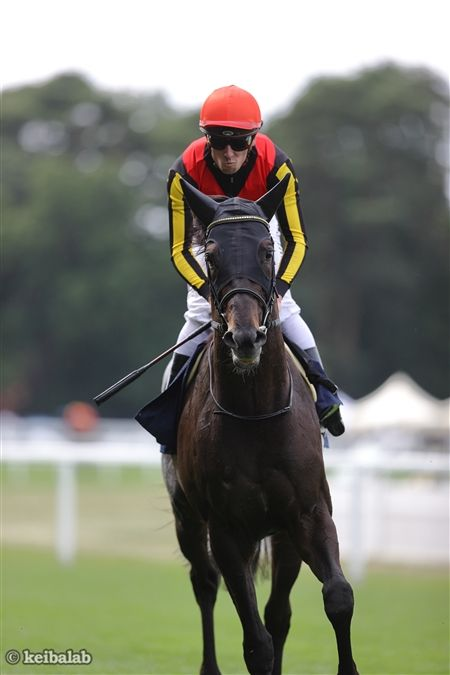 競馬ラボ tweet media