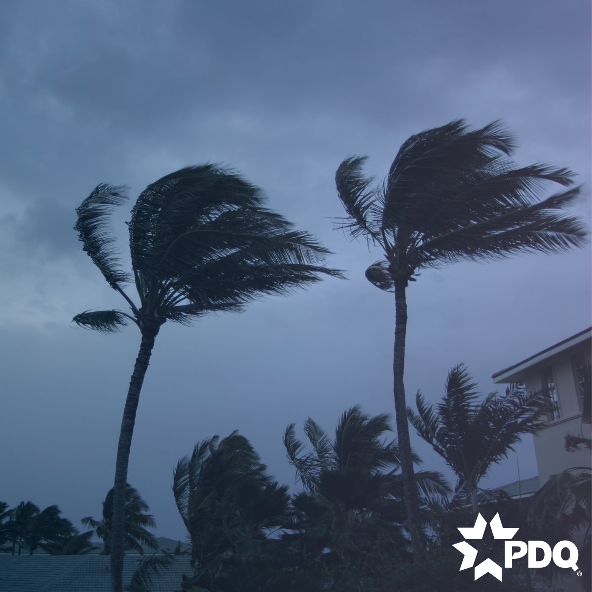 PDQLocks's tweet image. When high winds strike, your hardware is the frontline. PDQ’s HVHZ-certified solutions deliver code compliance and proven strength for coastal, hurricane-prone facilities. Are your openings ready? 
#BigWindDay #HVHZ #BuildingResilience #LifeSafety #PDQManufacturing