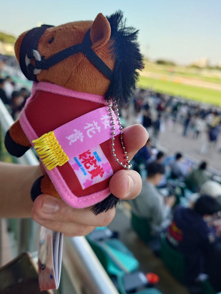 ゆきまろ@低浮上🐴🐴 tweet media