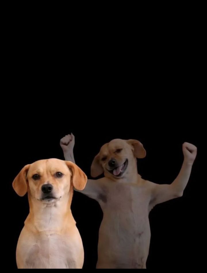 Ash Kenzo 's hot mommy 😍🥵 tweet media