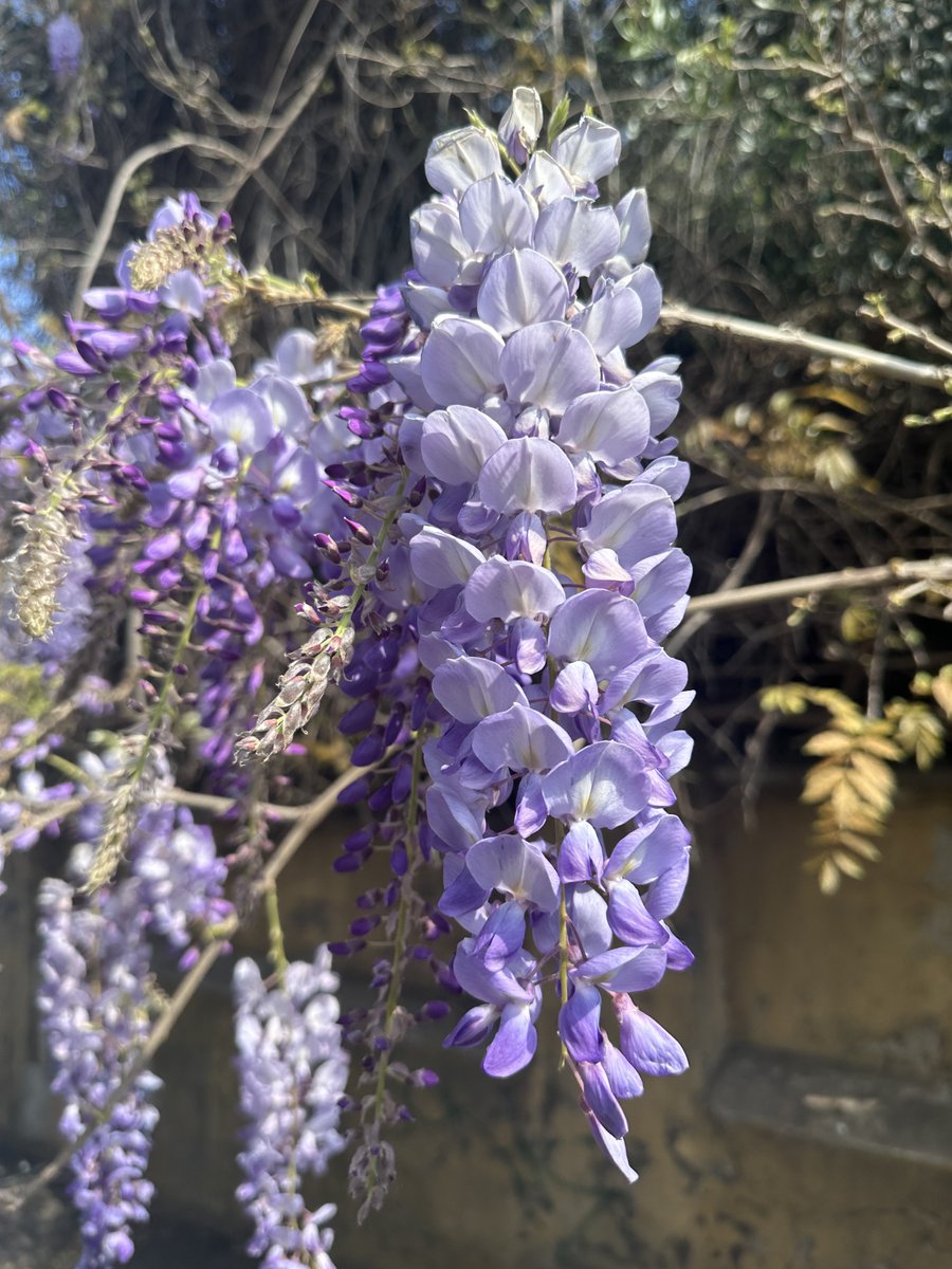 giada👣 tweet media