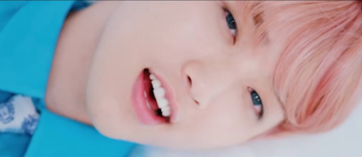 들에서 공차는 곰 tweet media