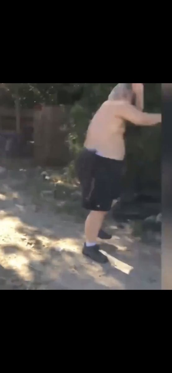 Alexandre tweet media