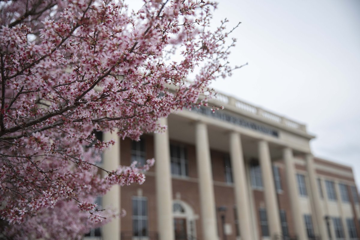 Lipscomb University tweet media