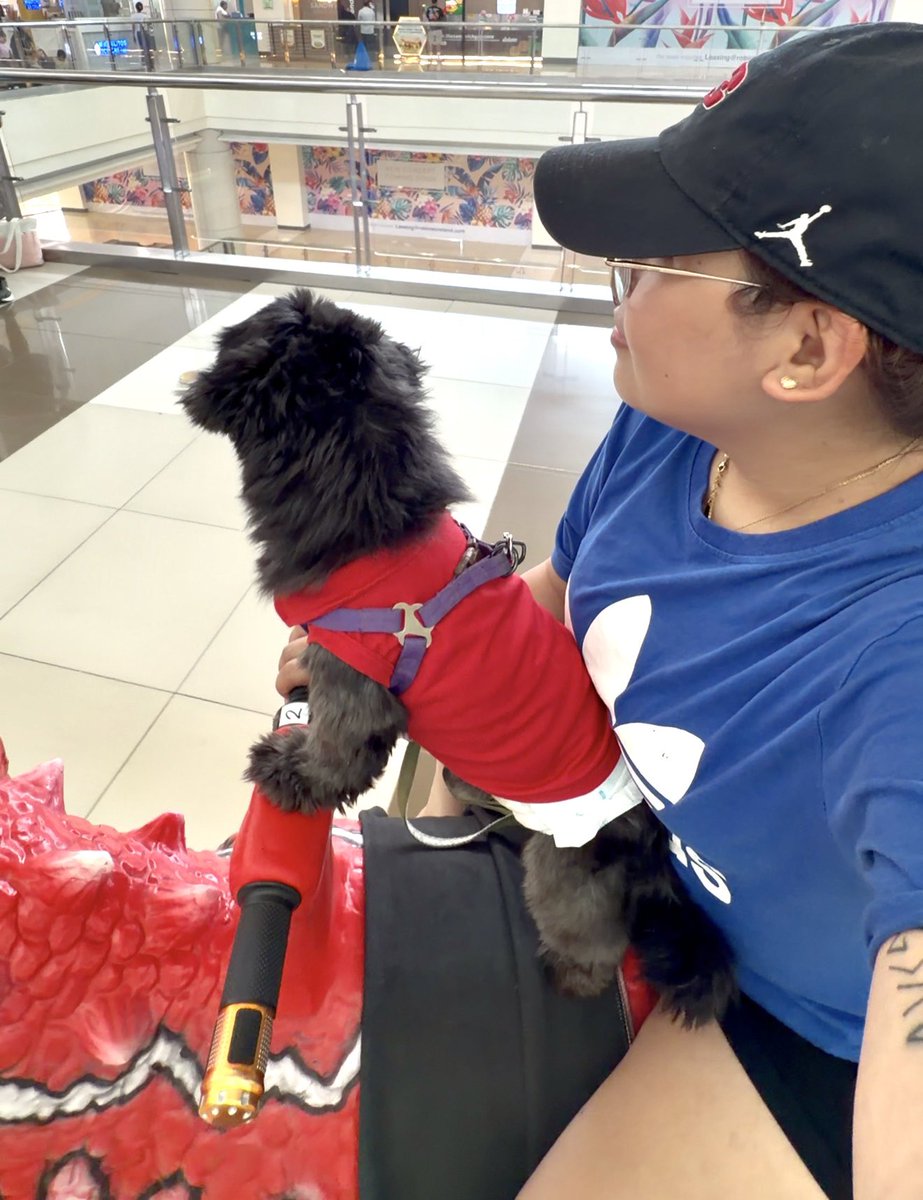 _elleestforte's tweet photo. naligo yan sya, dumalaw kay lolo pete at nag-aya mag-rob. gusto pa mag-sine kasama ang papa 🐶😂

ilysm anak! stay healthy and sweet. papadala ulit si mommy ng maraming treats ha 💗 https://t.co/RAGy6ulEc8