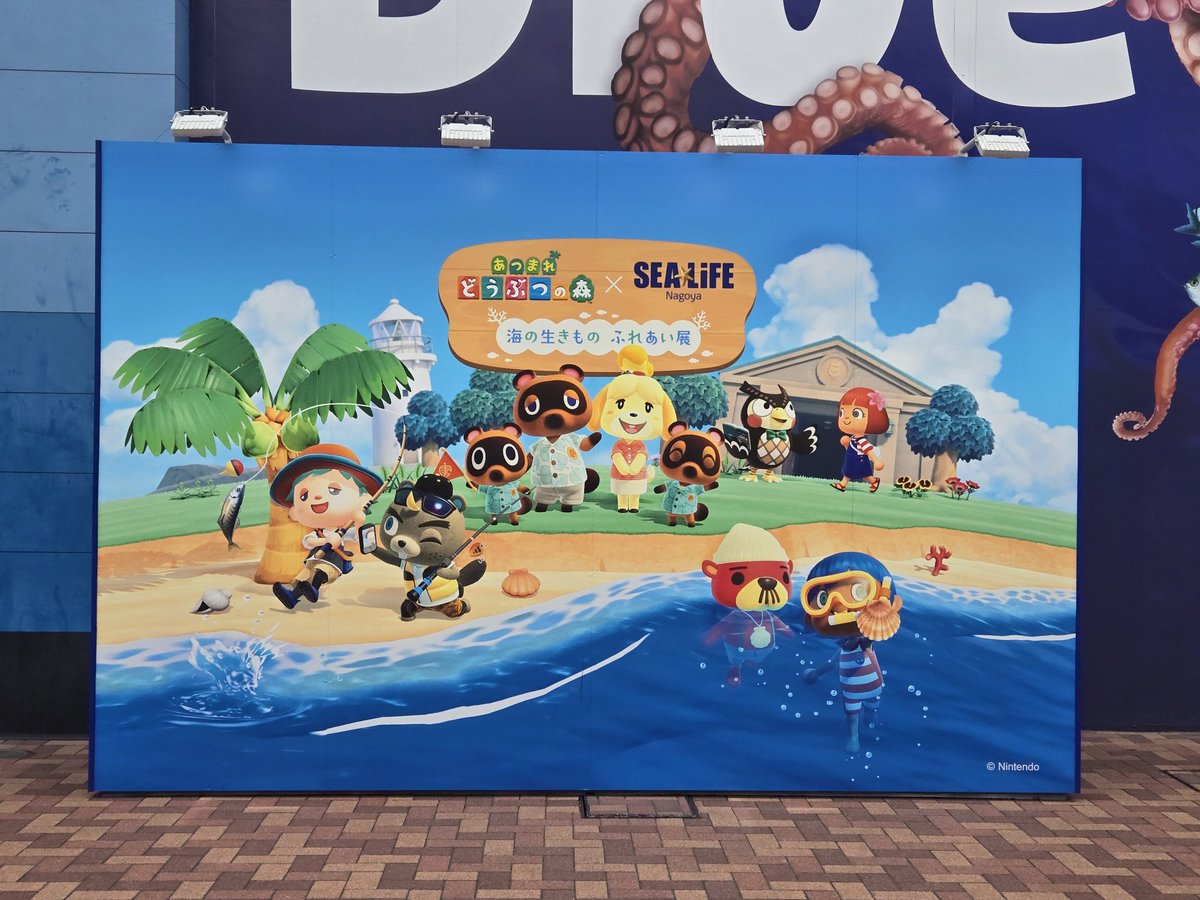 めそん🐙 tweet media