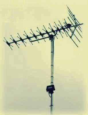 FruitfulPuzzles tweet media