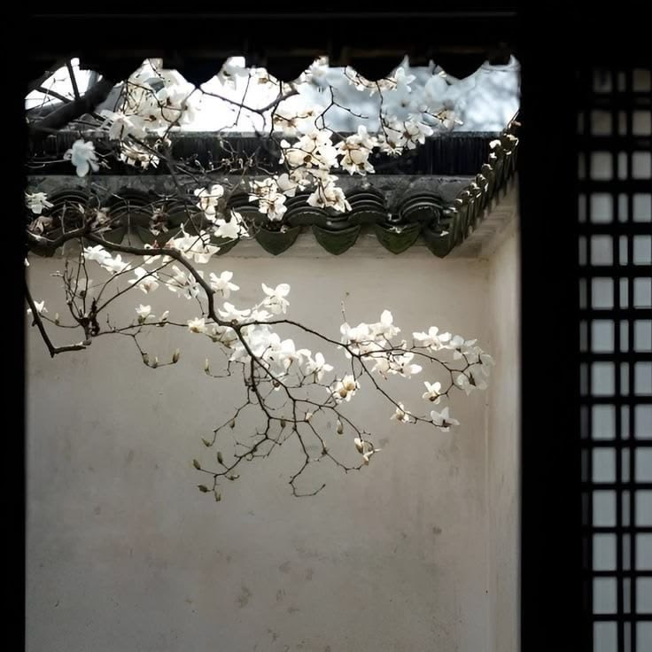 blossom. tweet media