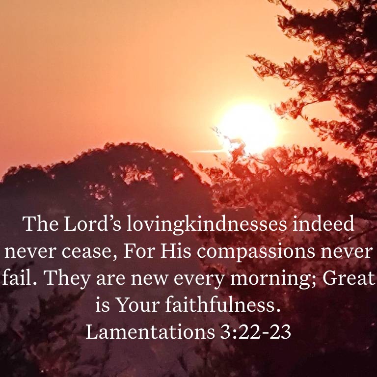 SharonSponheim's tweet image. Whatever we go through in life, each day is a new beginning; a blank canvas. ❤️🙏🏼
Today is a day the Lord has made; let us rejoice and be glad in it! (Psalms 118:24)  #NewBeginnings #ANewDay #ABlankCanvas #GodIsMerciful #GodIsFaithful