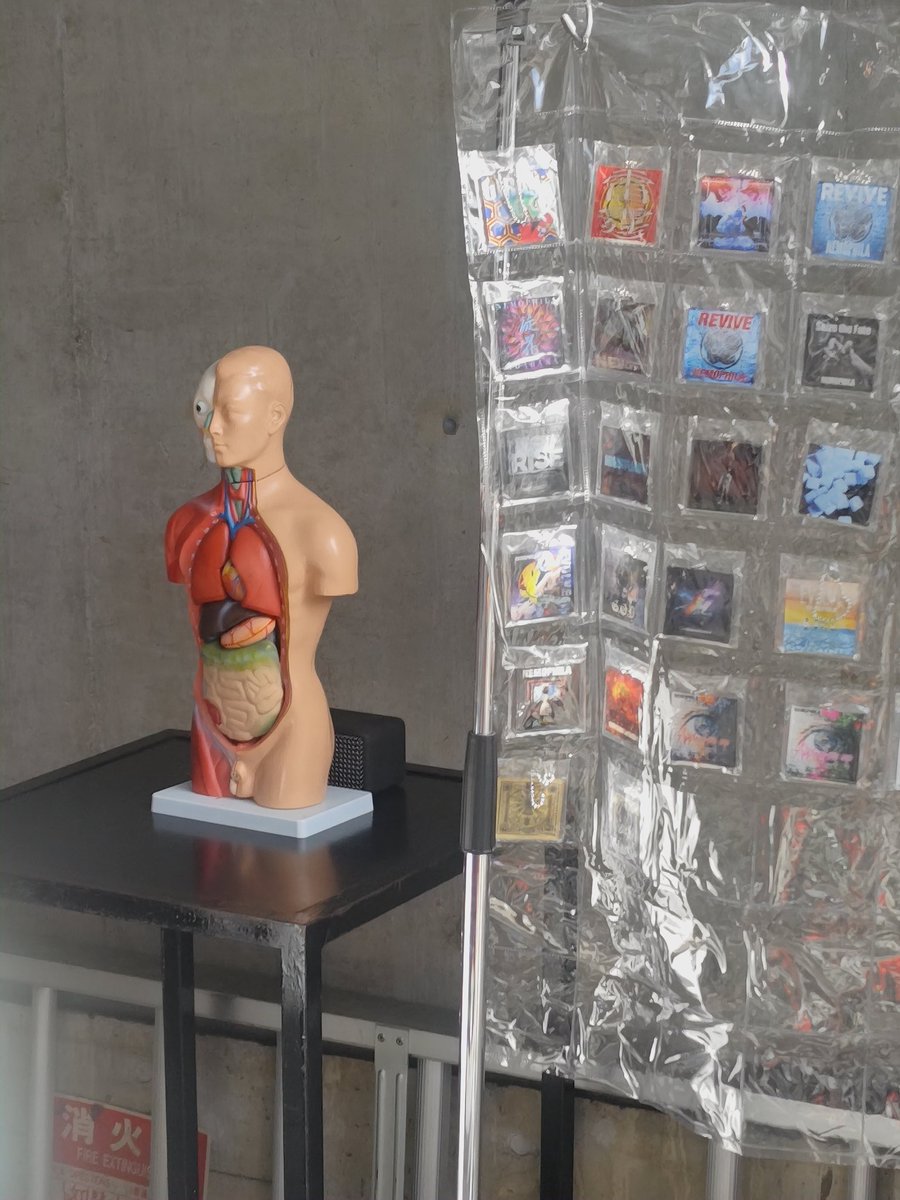 しょうへい tweet media