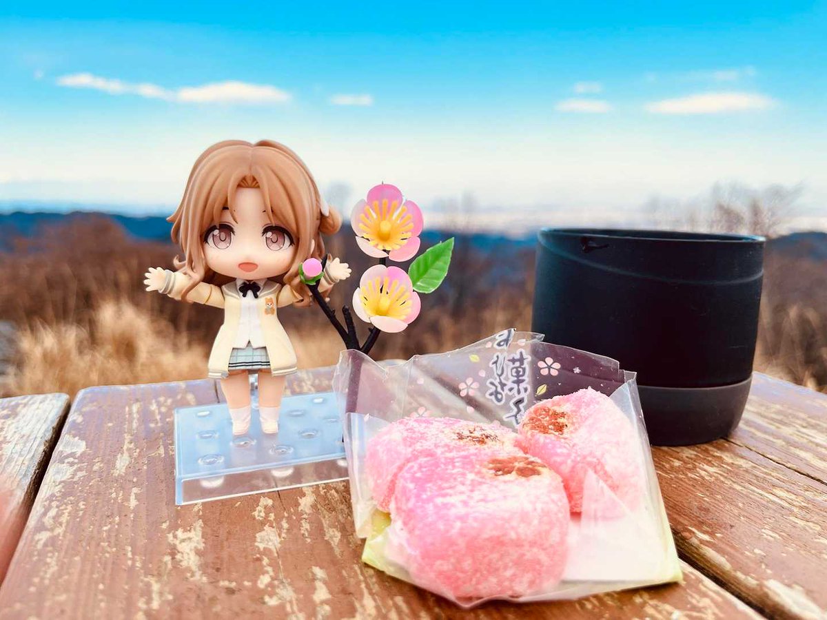 ねんどろいど ノクチルは、本当にかわいくてお気に入り！！ いつも登山