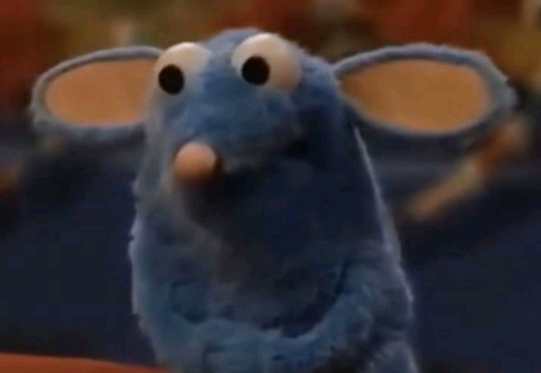 🌺Maru🌺 tweet media