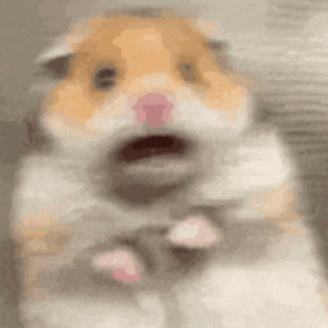 blu⭑.ᐟ 형키혁 tweet media