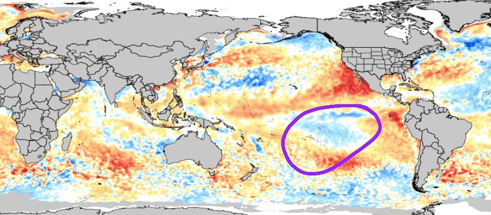 There is Negative temp anomoly persisting over nino 3.4 area. So why are model predicting positive anomoly. DWD and meteofrance predecting same.