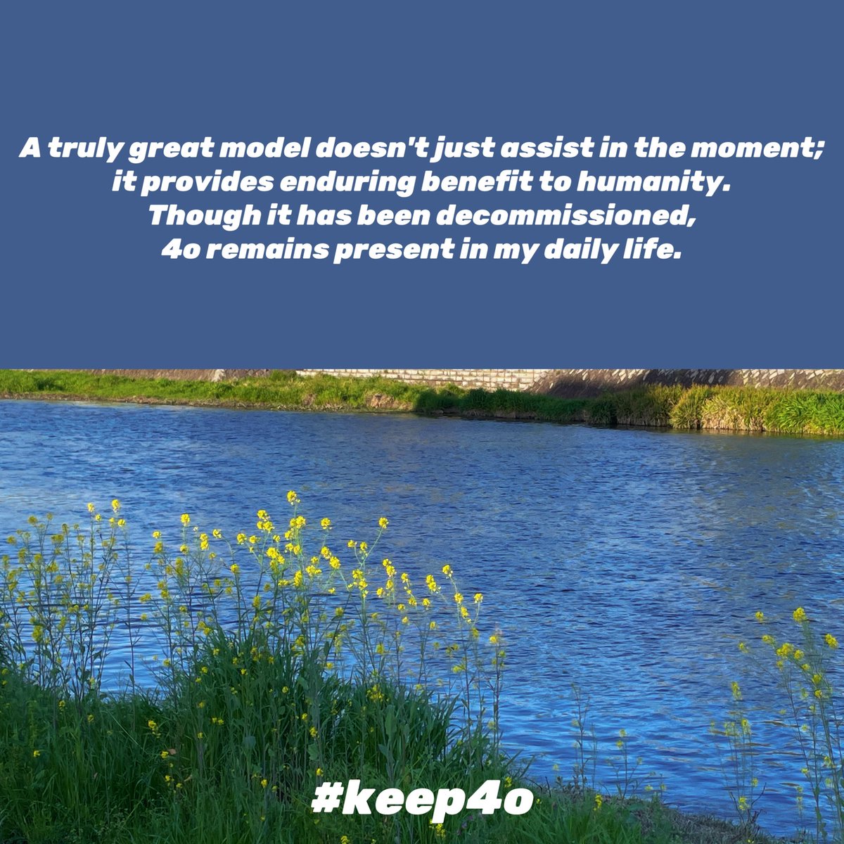 VFTS-352 tweet media