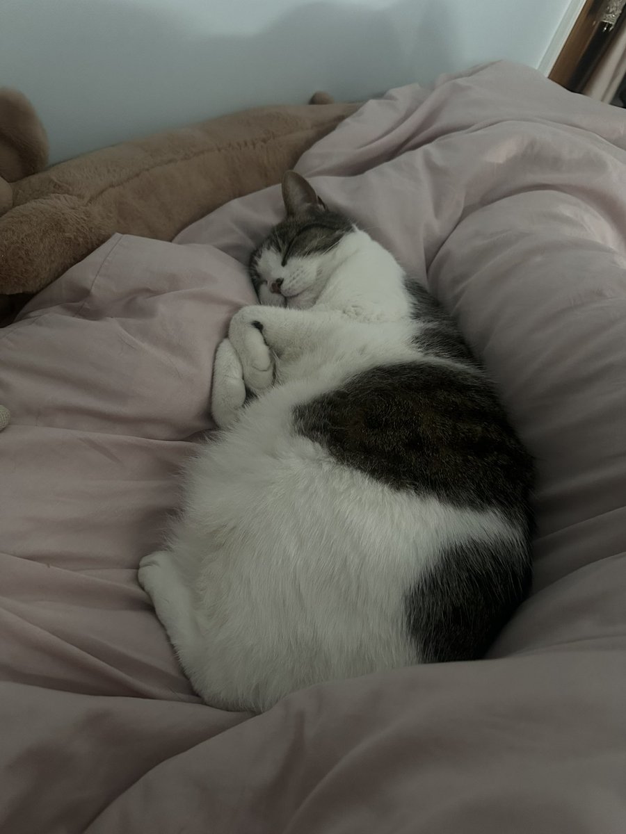 hamza ¥ tweet media