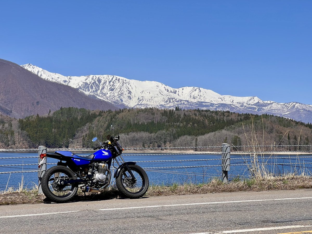 yoshi 223 tweet media