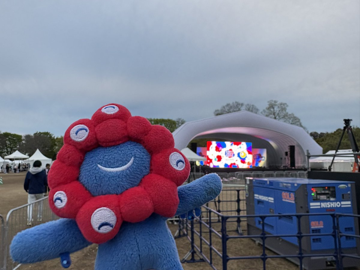 青ガマ tweet media