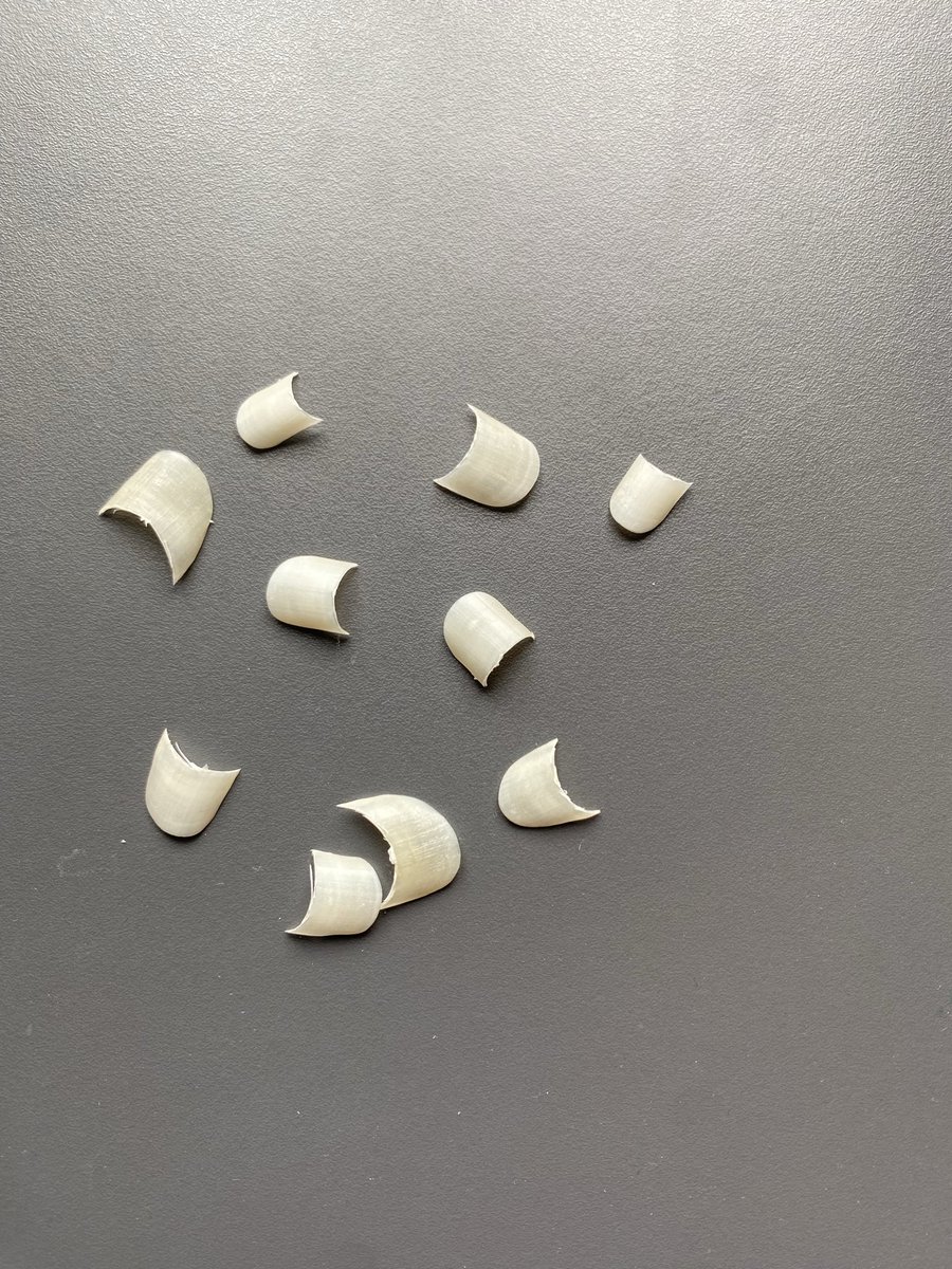 i can't bear idiots tweet media