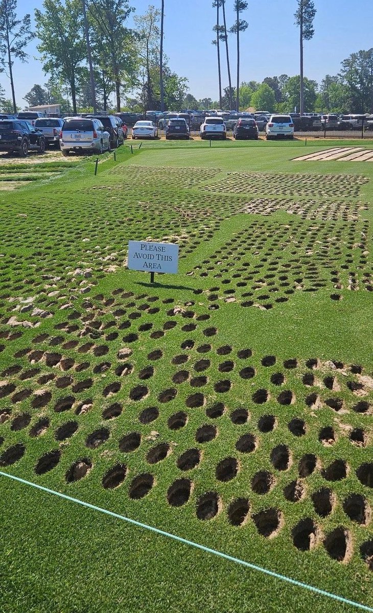 𝐬𝐚𝐬𝐡𝐚 🍒🐆🎱 tweet media