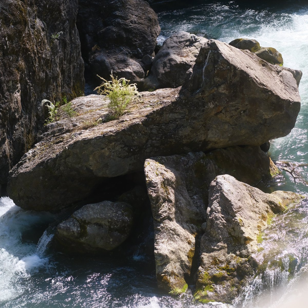 ハッシュ📷29a!😌 tweet media