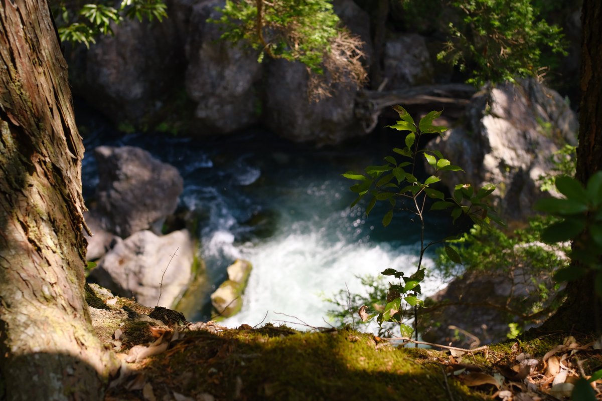 ハッシュ📷29a!😌 tweet media