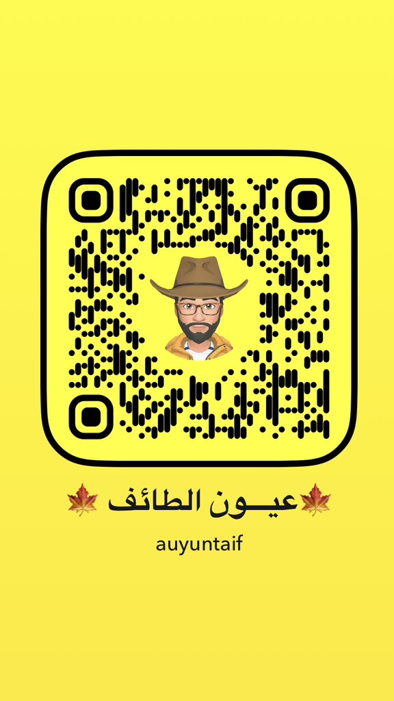 عيون الطائف tweet media