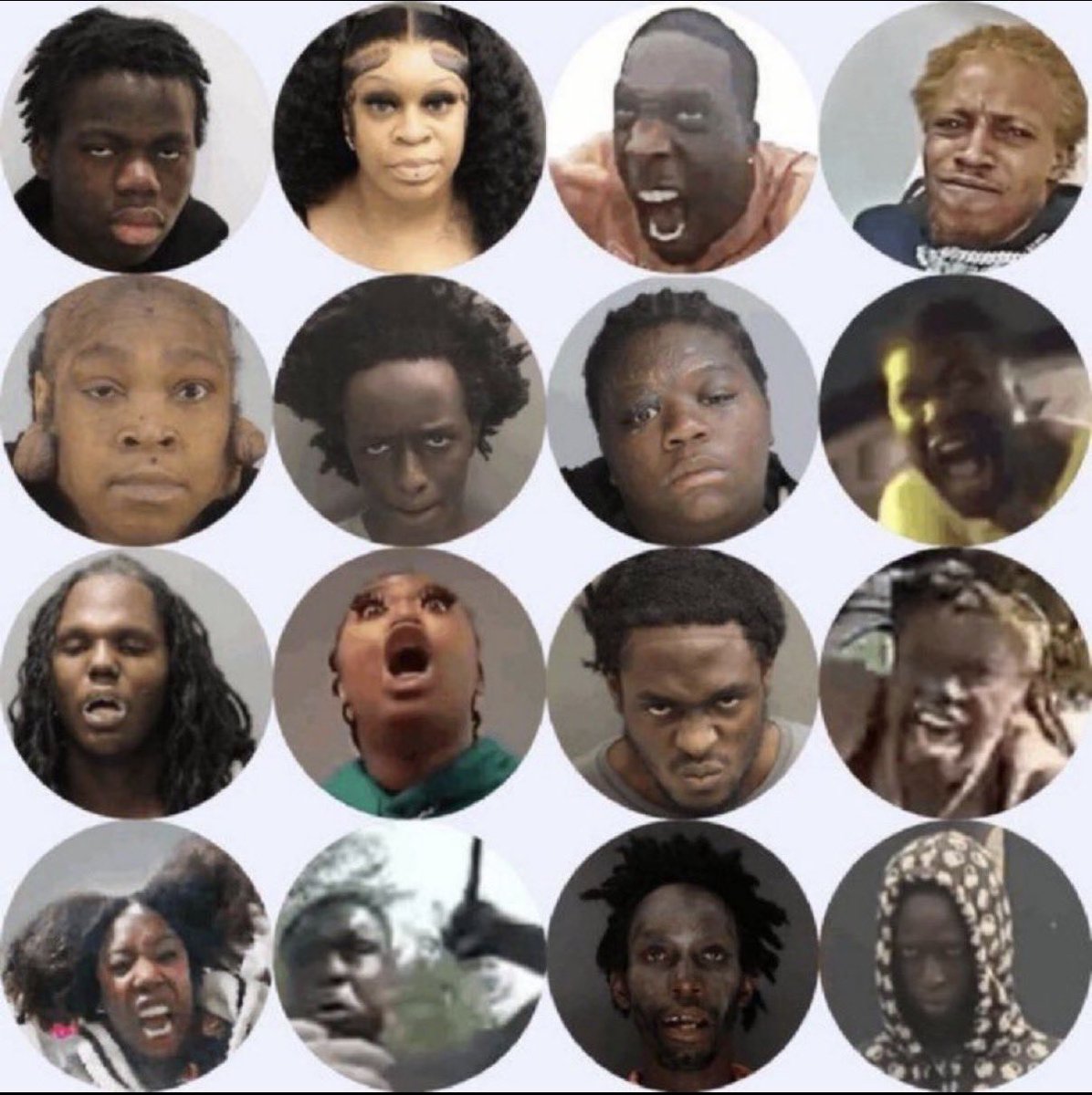 Miami Thad tweet media