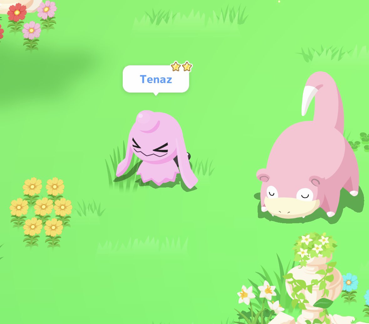 Nuevo shiny 🥰✨🍀🩷✨🥰