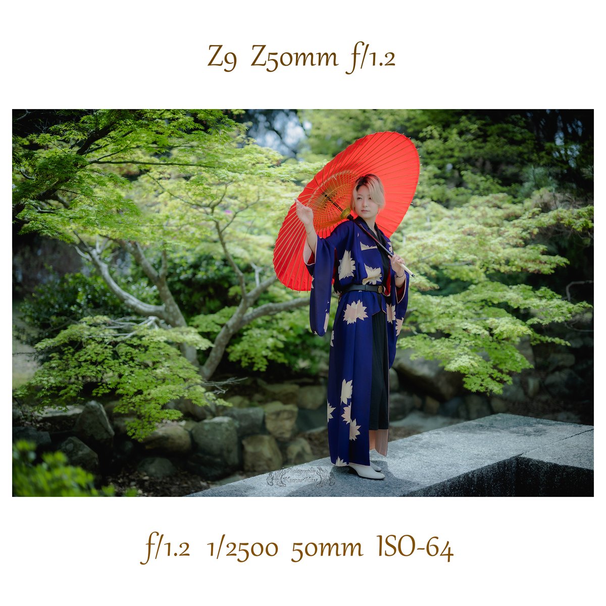 #ジブリ　プリセット

#photty_Spring_Portrait_Photoshoot

#モデル
#うる
#Uru
<a href="/kimber_rapide/">Uru</a>

運営
<a href="/photty2023/">photty</a> 
#photty

#山口県で撮影会
#ポートレート
#下関市
#長府苑
#かっこいい系
#着物
#山口県
#portrait
#Photosession
#Model
#Japan
#Nikon
#ニコンでポートレート
#Z9
#50mm
