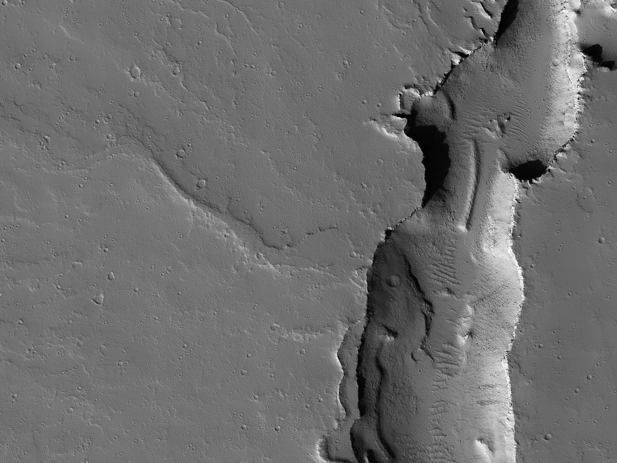 HiRISE's tweet image. HiPOD: Tectonic, Volcanic and Fluvial Activity?

This image shows two cross-cutting depressions that may have been formed by the collapse of weak terrain along pre-existing faults. These faults are associated with the release of volcanic material.

ow.ly/2GfX50YHib0
#Mars