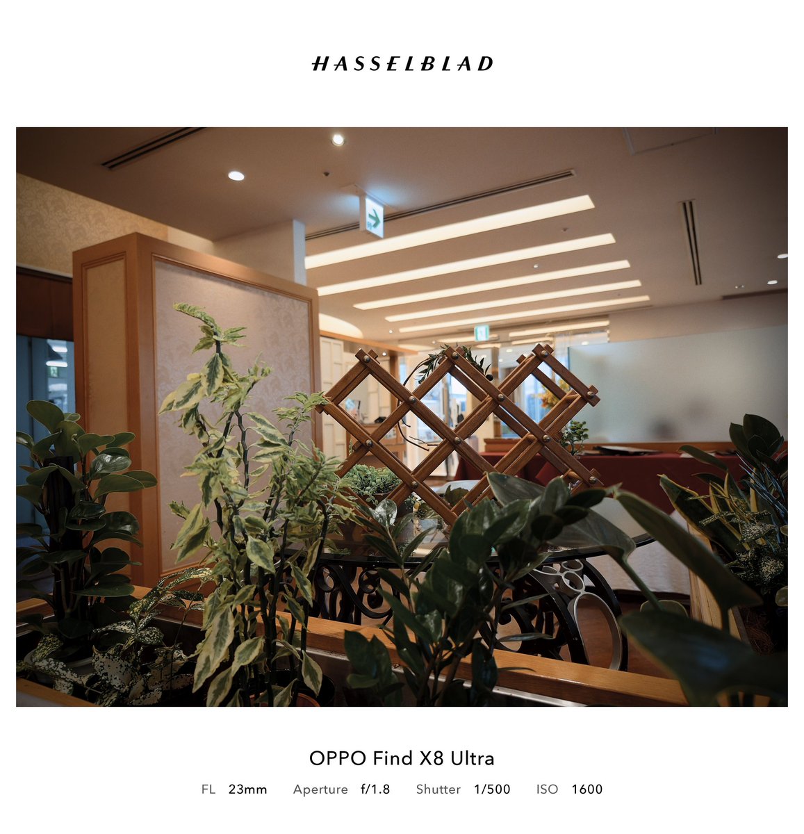 kusunami1092's tweet image. ( ∩˙꒳​˙​📷⊂ )✨️
過去写真
Shot on OPPO Find X8 Ultra
#Findx8Ultra #OPPO

#写真好きな人と繋がりたい
#写真撮ってる人と繋がりたい
#写真で伝えたい私の世界
#ファインダー越しの私の世界
#photography
#キリトリセカイ