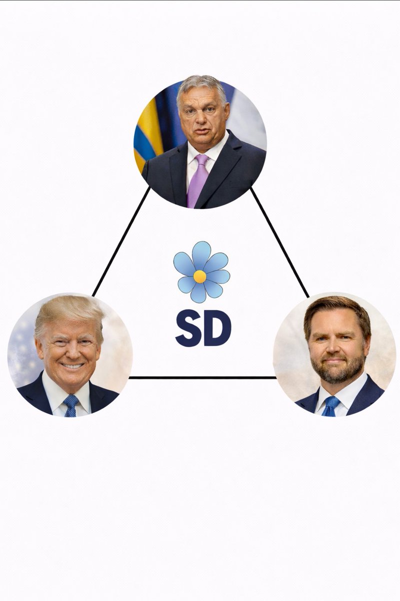 Alessio Dos Santos tweet media