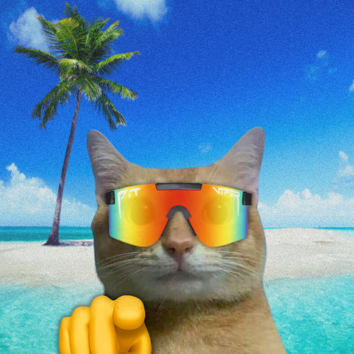 Cat (@th3tickeriscat) / Posts / X