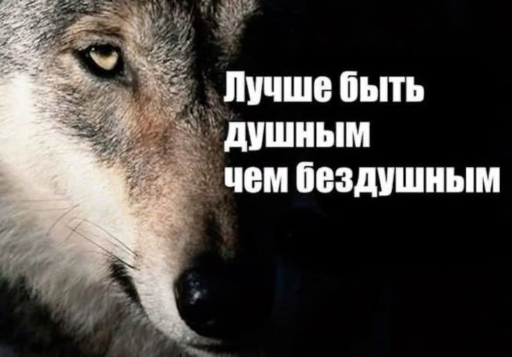 toriENHYPENIS7FOREVER tweet media