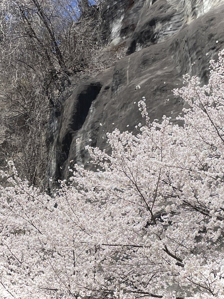 ᵇₑⱼₐ tweet media